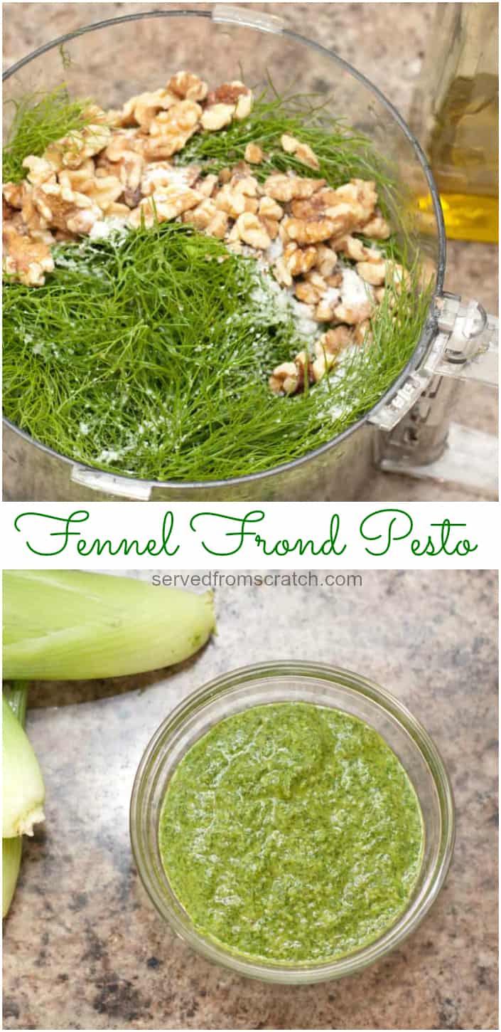 Fennel Frond Pesto Served From Scratch